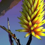 Flume (ft Tove Lo) | Say It