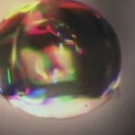 STS9 | Supercluster