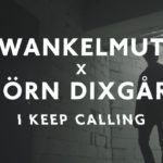 Wankelmut (ft Bjorn Dixgard) | I Keep Calling