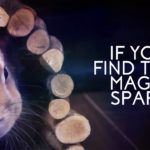 Hail Taxi | Magic Spark