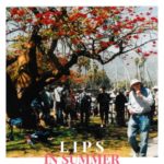 l-i-p-s-in-summer